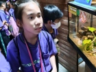 โครงการศึกษานอกสถานที่ “ป.4 : ท่องแดนมหัศจรรย์ในเขาเขียว” Image 43